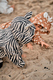 Зимовий термо комбінезон Toddler Zebra. Нова колекція Зображення