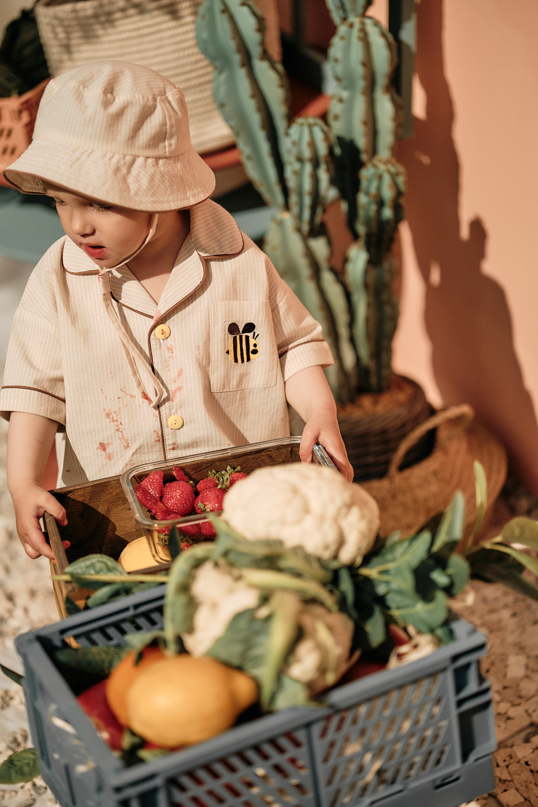 Summer suit shirt and shorts Bee. New collection 