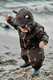 Зимовий термо комбінезон Toddler Brown Bear. Нова колекція Зображення