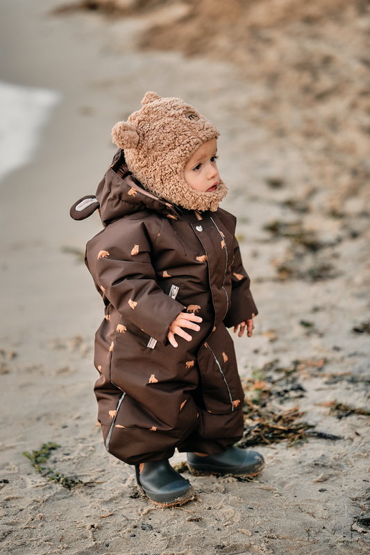 Зимовий термо комбінезон Toddler Brown Bear. Нова колекція Зображення